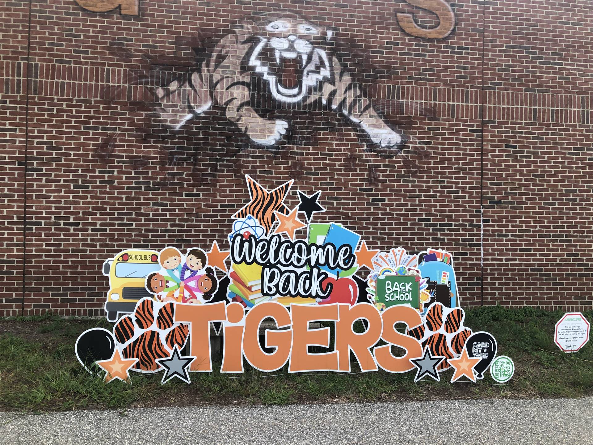 Welcome Back at Tiger