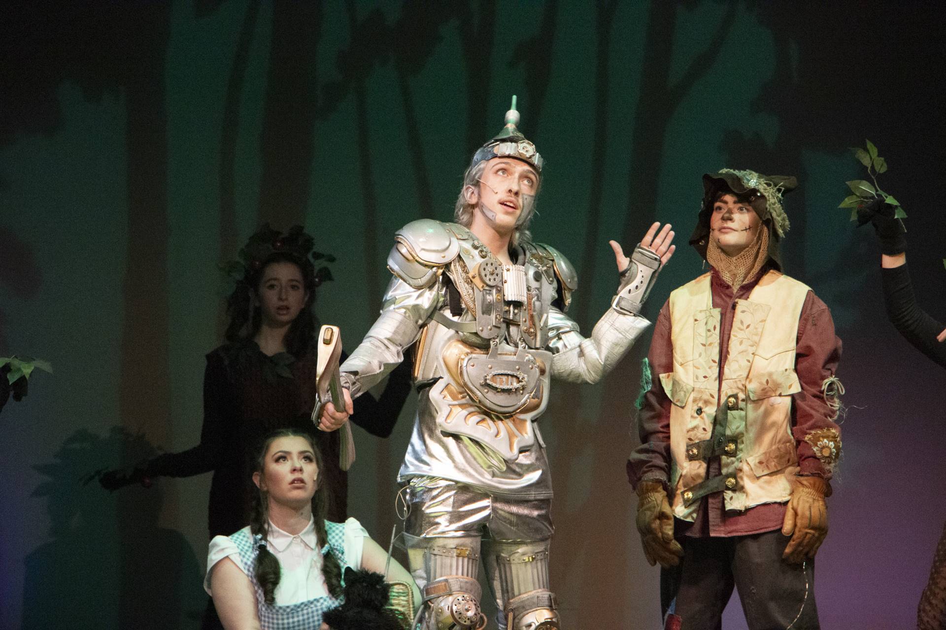 Wizard of Oz- If only I had a Heart